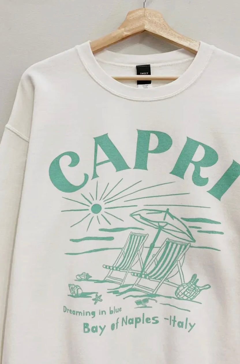 Ellie’s Vaca Sweatshirts