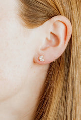 Linny&Co Gold Nova Screwback Studs