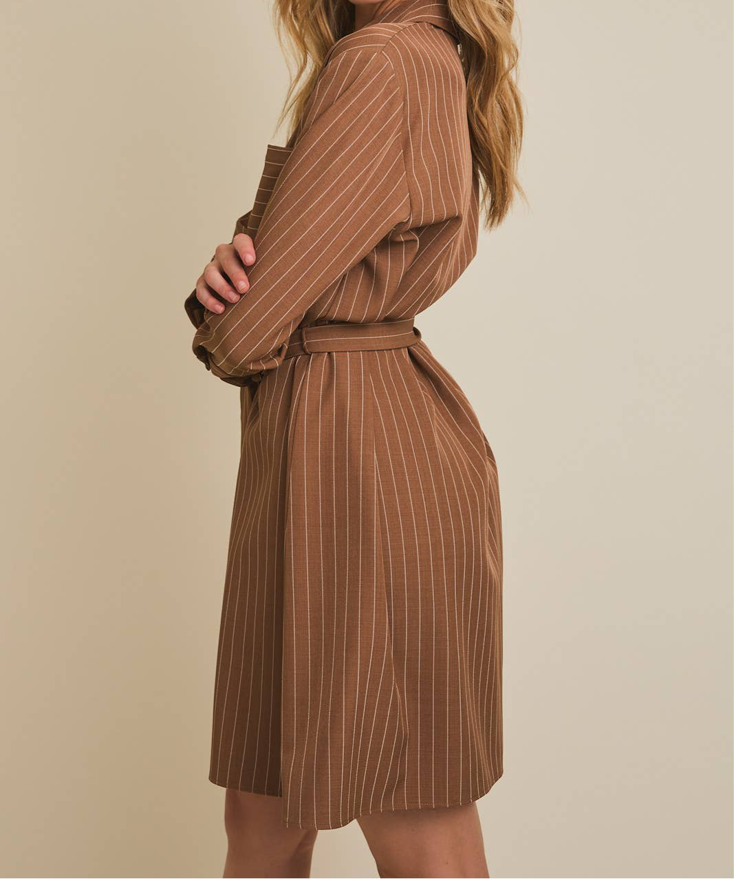 Lily Pinstripe Dress