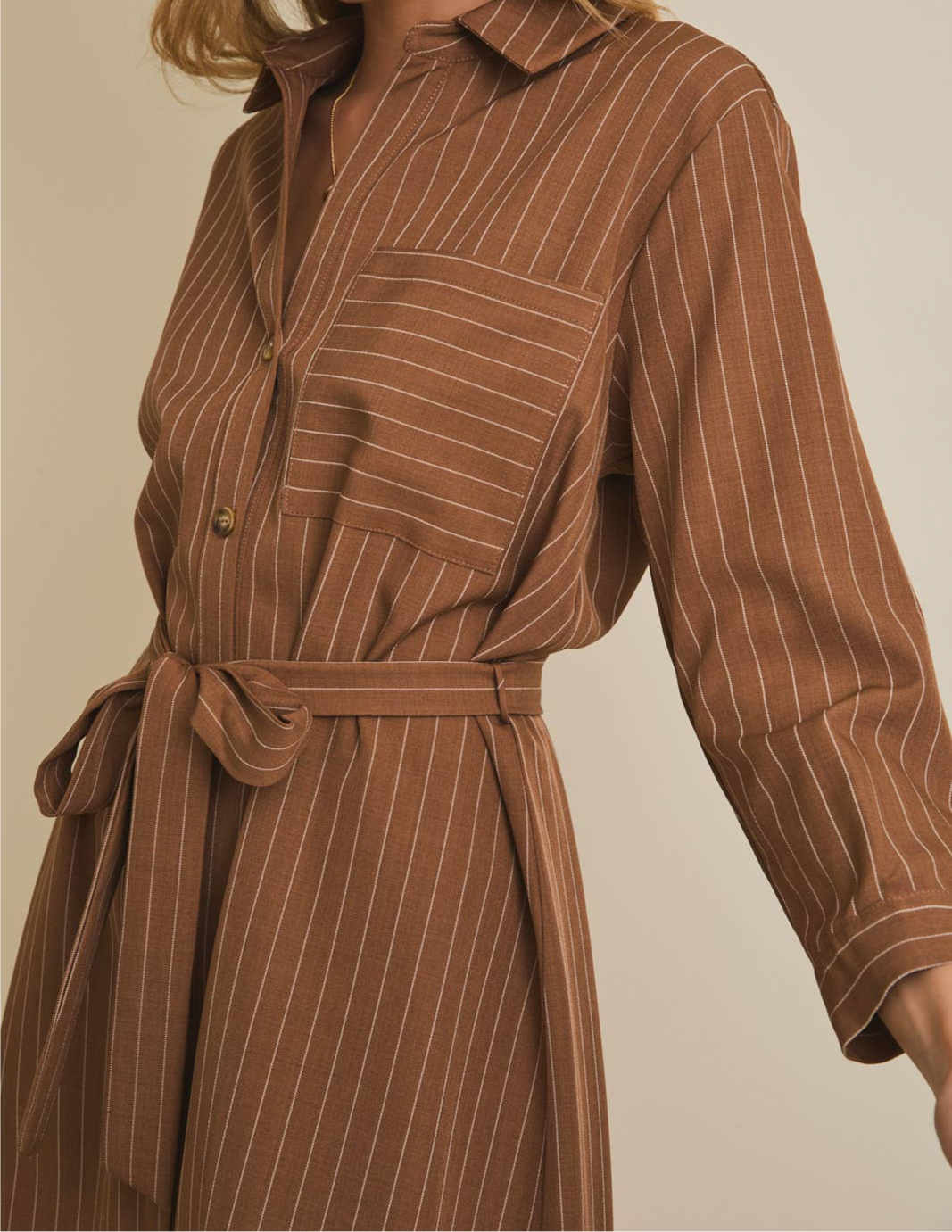 Lily Pinstripe Dress