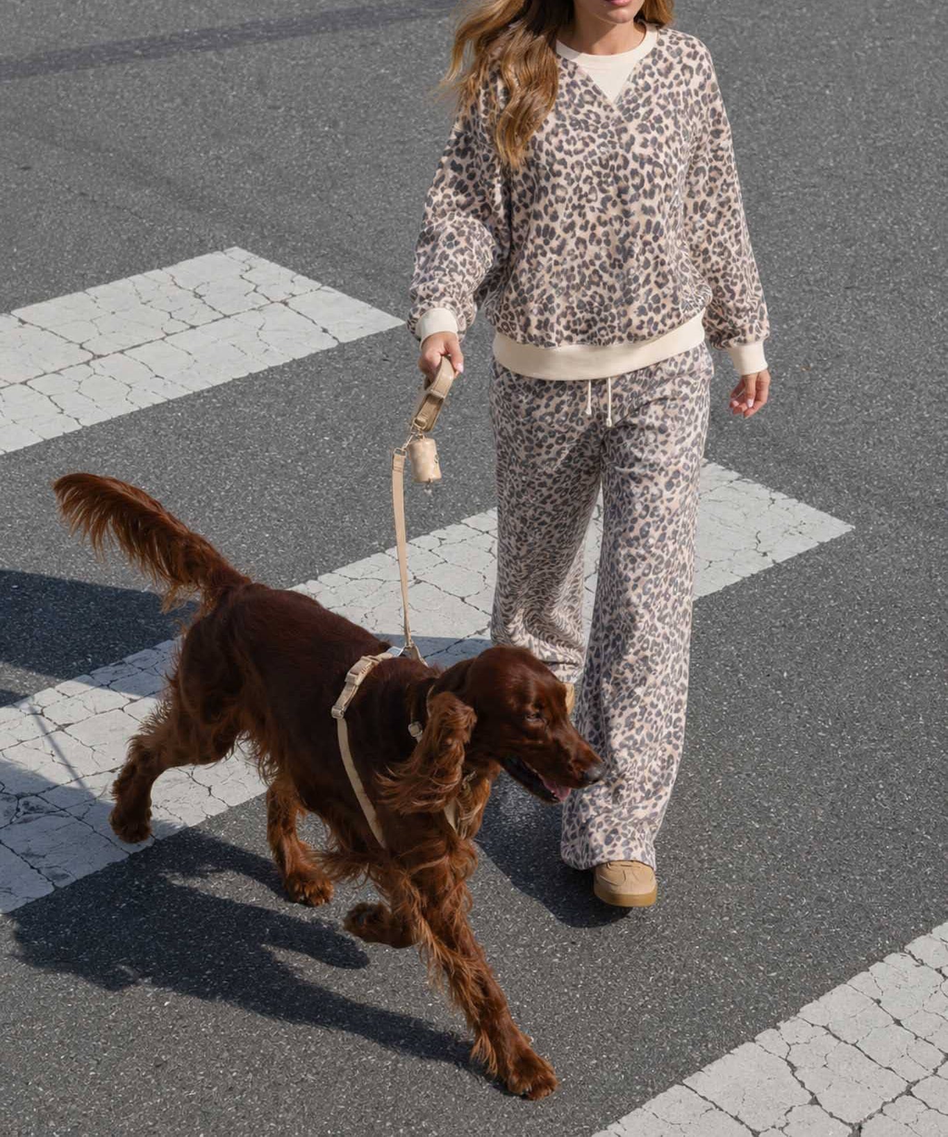 Leopard Drawstring Wide Leg Pant