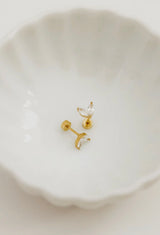 Linny&Co Gold Nova Screwback Studs