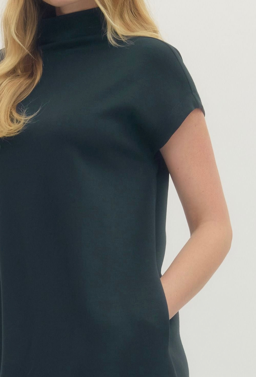 Hamilton Mock Neck Dress