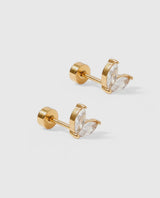 Linny&Co Gold Nova Screwback Studs