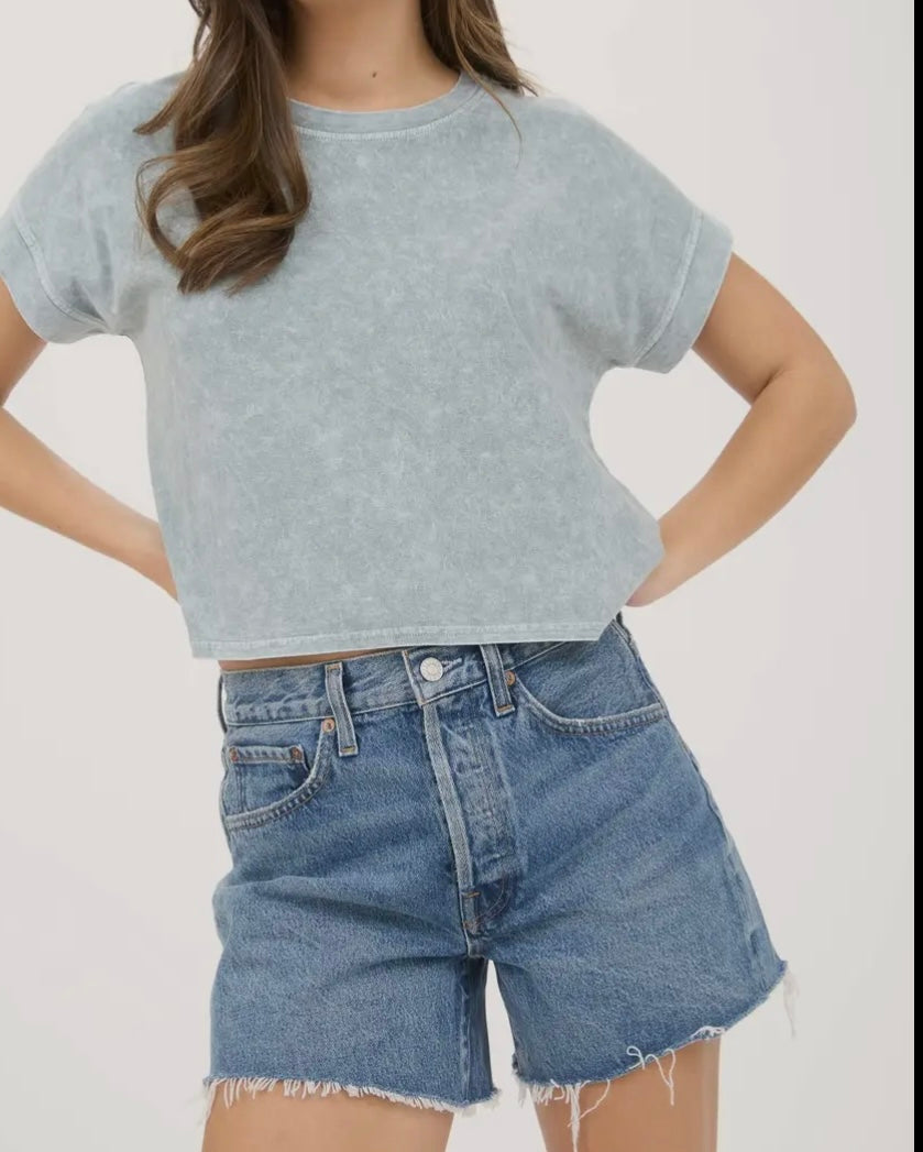 Cocoa And Sage Washed Tee