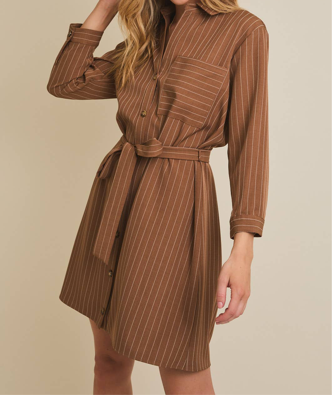 Lily Pinstripe Dress